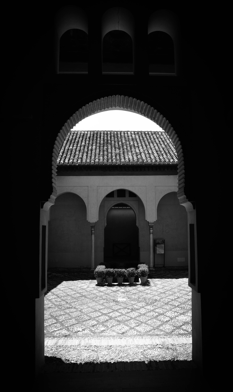 palacio, nature, plant, the past, built structure, travel destinations, simetry, patio, muslim, arch, building exterior, arched, fortress, no people, religion