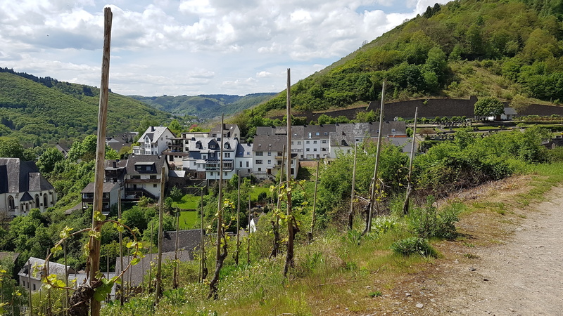 4K, cloud - sky, scenics - nature, tree, outdoors, architecture, building exterior, village, land, wine, sky, built structure, no people, plant, nature