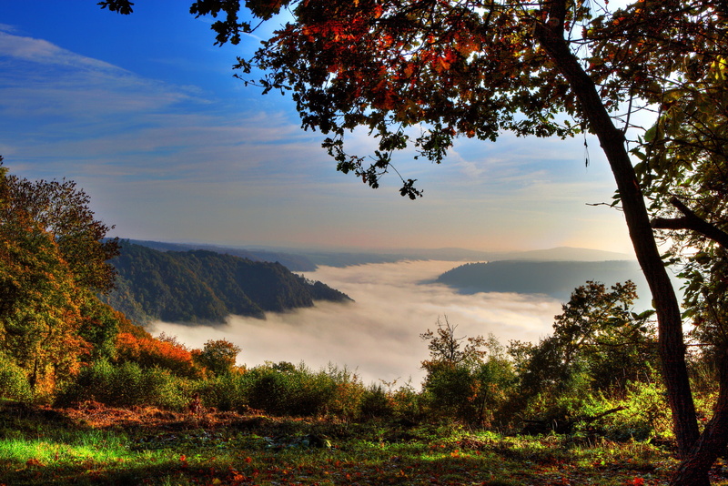 Klotten, tree., mountains, fog, 2K, forest, Germany