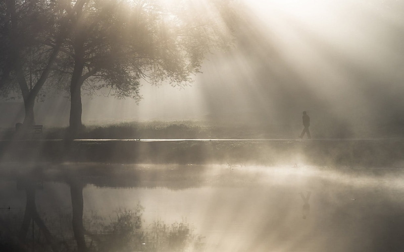 tranquil scene, men, one person, sun rays, trees, mist, beauty in nature, abstract, black, gray, nature, sun, calm, animal themes, landscape, water, scenics - nature