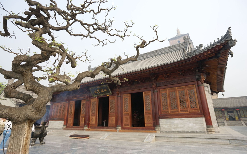 outdoors, no people, old, entrance, buildings, sky, tourism, spirituality, plant, empire, travel Destinations, trees, china - East Asia, famous Place, courtyard