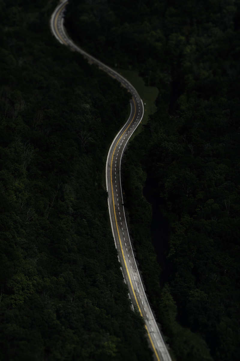tree, outdoors, no People, tall, green, forest, mode of Transport, surrounded, from above, street, aerial View, driving, photography, asphalt, trees, travel