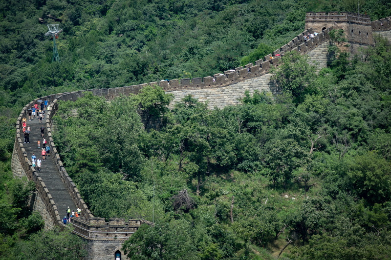 growth, day, group of people, architecture, travel, 5K, tree, great wall, built structure, plant, nature, ancient civilization, mountain, the past, green color