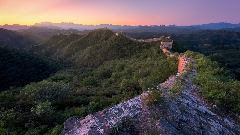 tree, no people, environment, outdoors, scenics - nature, travel destinations, sky, plant, tranquil scene, ancient history, 1080P, landscape, great wall of china