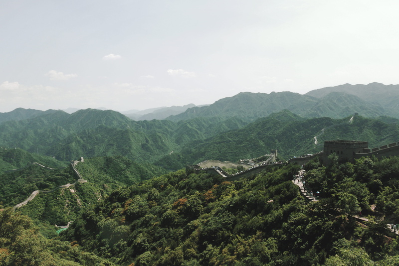 tea crop, landscape, beauty in nature, sky, 4K, non-urban scene, mountain range, tranquil scene, mountain, day, great wall of china, environment, tree
