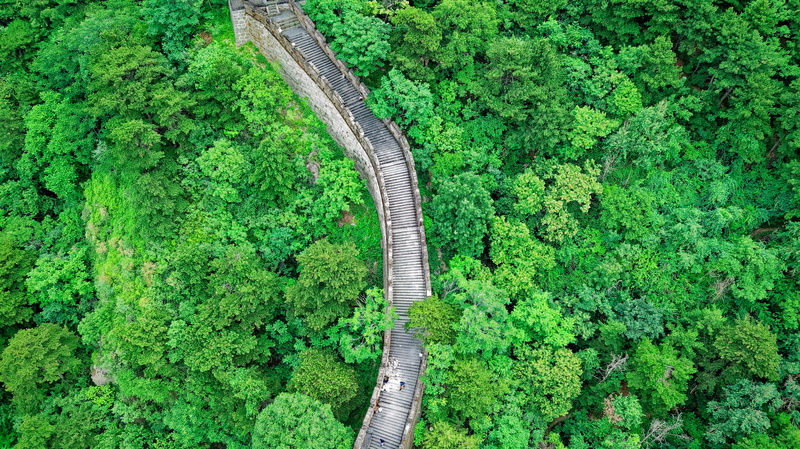 plant, 4K, connection, drone shot, footpath, birds eye view, transportation, scenics - nature, beauty in nature, great, fortification, tree, land, no people