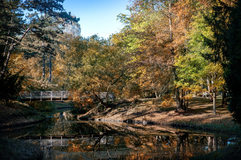 lake, fall, bremen, d850, change, leaves, waters, citizens park, beauty in nature, 8K, no people, mood, autumn, bremen walle, cemetery, river, scenics - nature