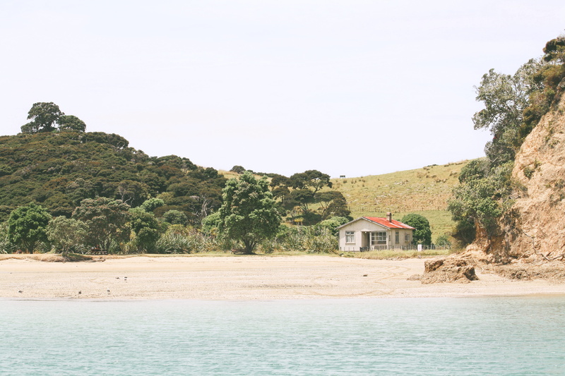 landscape, water, nz, auckland, russell, belong, house, tranquility, scenics - nature, land, forest, paihia, plant, day, surf, outdoors, trees, no people