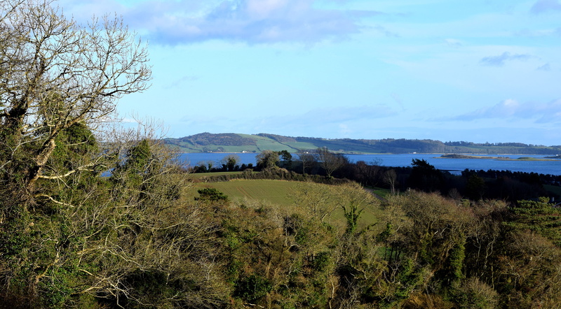 field, landscape, 2K, sky, nature, grass, environment, killyleagh, countryside, outdoors, plant, day, building, strangford lough, cloud - sky, tranquil scene