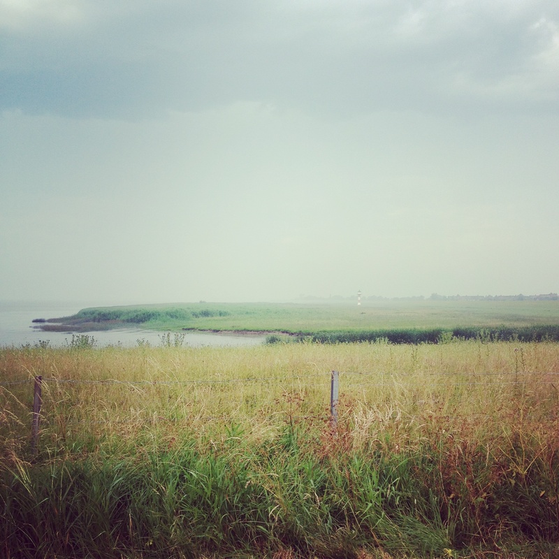 1080P, nature, plant, outdoors, northern germany, north sea, horizon, cloud - sky, sea, grass, non-urban scene, coast, land, idyllic, growth, tranquil scene