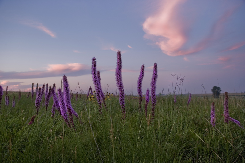 sky, National Wildlife Refuge, NWR, Midwest, Creative Commons, 8K, meadow, fields, blue, MN, Landscape, Touch the Sky, Grassland, Tallgrass Prairie, nature