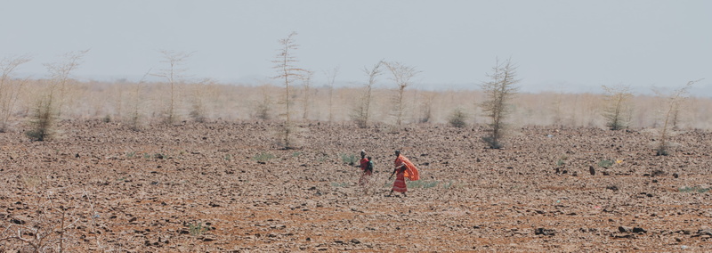day, desert, plant, occupation, scenics - nature, dry, dirt road, water, gravel, full length, hot, 5K, haze, northern, landscape, nature, agriculture