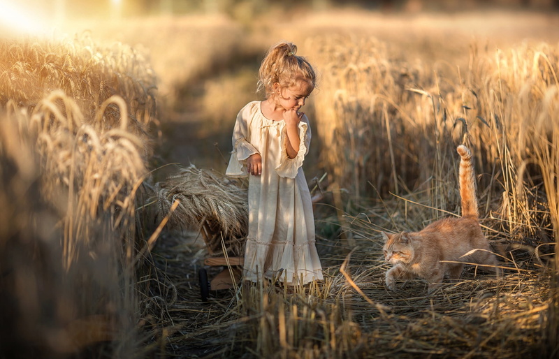 girl, the harvest, childhood, look, retro, walk, white, village, rye, sneaks, child, light, dress, rural, pose, field, the expression, red, the end of summer