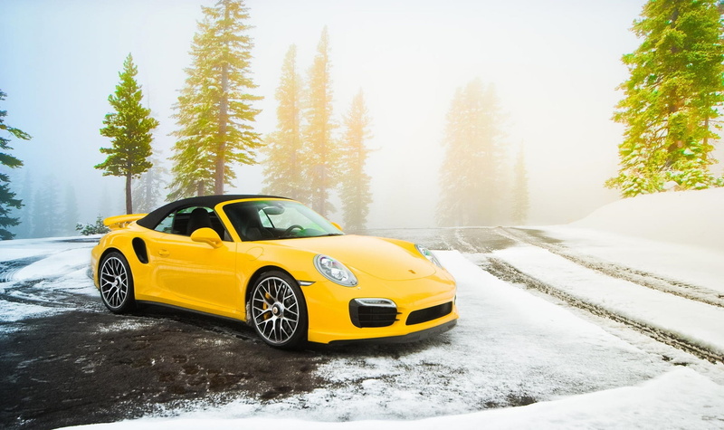 forest, cold temperature, wheel, Spruce, cayman, travel, tree, day, winter, no people, mode of transportation, Supercar, land vehicle, soft, Turbo S, coupe