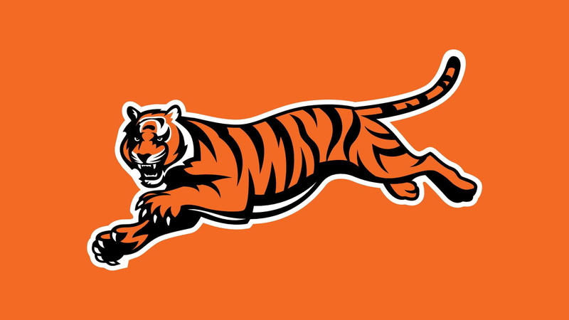 1080P, cincinnati bengals, illustration, orange, 1920x1080, football, bengals, black, cincinnati, sports, tiger