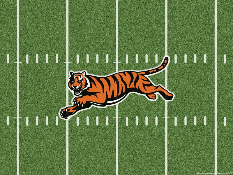 cincinnati, football, bengals, 720P, nfl