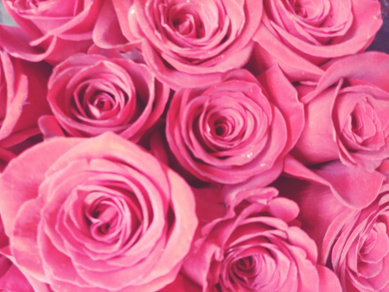 flowers, backgrounds, ohio, vulnerability, flower head, bunch of flowers, rose - flower, flower arrangement, large group of objects, softness, freshness