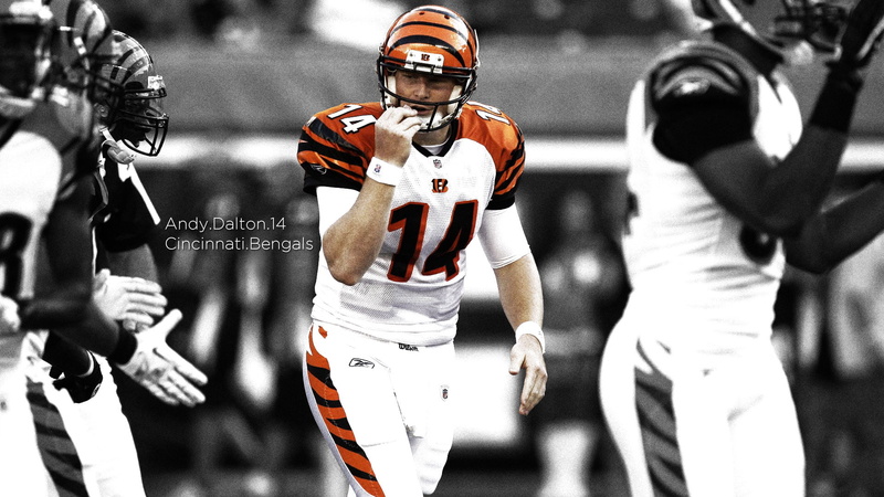 nfl, sports, cincinnati, football, 1080P, bengals