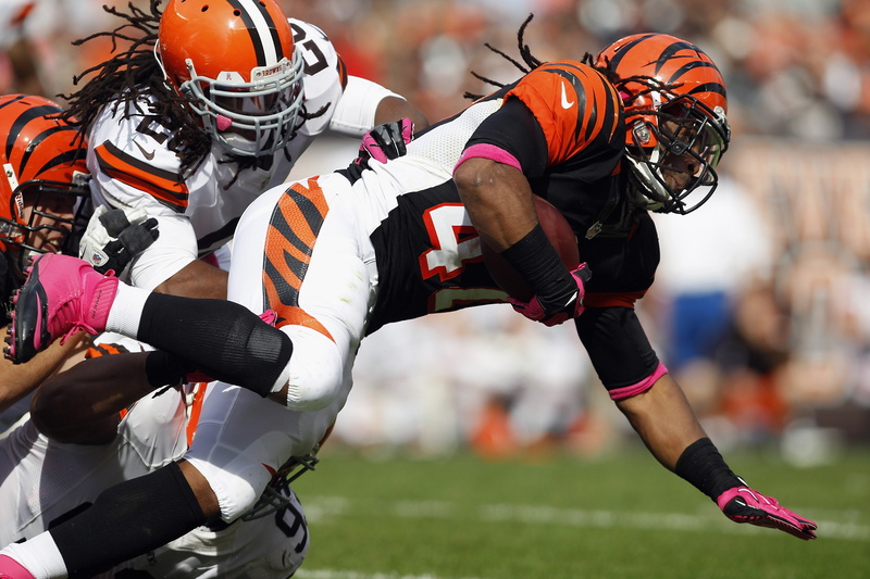nfl, cincinnati, football, bengals, browns, 2K, cleveland