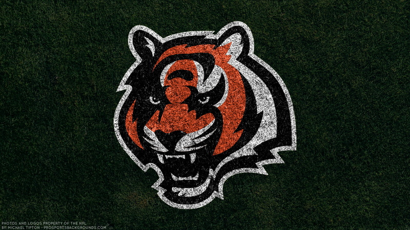Logo, 1080P, Cincinnati Bengals, Football, NFL, Emblem
