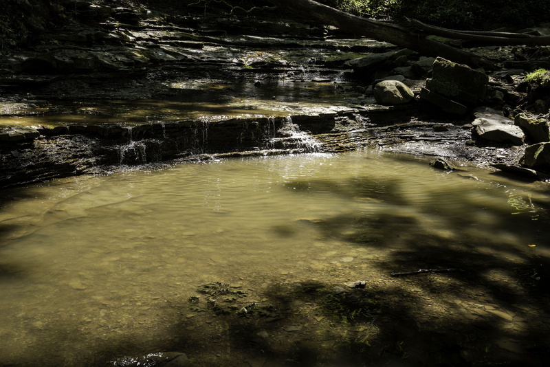 5K, Valley, forest, tree, cayuhoga, flowing Water, landscape, rock, stream, blue hen falls, waterfront, Blue Hen, day, shallow, tranquility, Small, hen