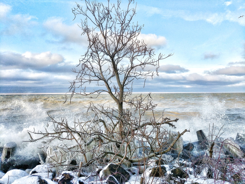 snow, water, land, sky, tranquility, sea, day, horizon over water, beauty in nature, plant, no people, tranquil scene, ohio, united states, 1002 parkside dr