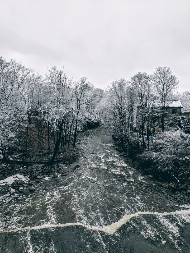 trees, outdoors, winter, plant, tranquility, waterfall, flowing, town, beauty in nature, non-urban scene, day, waterfront, cleveland, near, bare tree, land