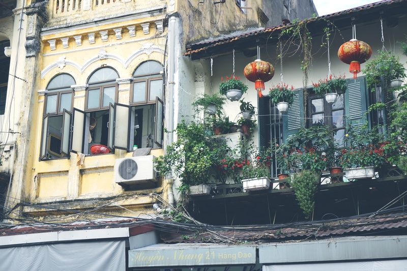 outdoors, street, memories, residential district, growth, lantern, decoration, nature, electric lamp, no people, wall - building feature, potted plant
