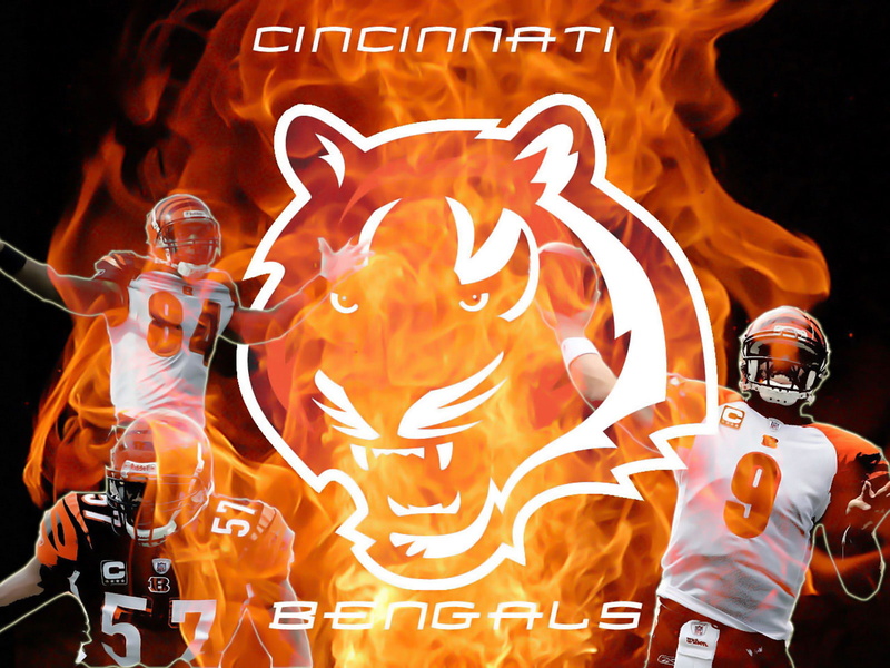 cincinnati, football, 720P, nfl, bengals