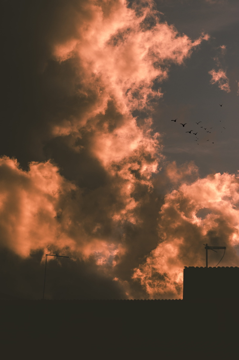 building, no people, architecture, outdoors, #clouds, bird, pollution, nature, cloud - sky, dusk, #sun, air pollution, scenics - nature, beauty in nature