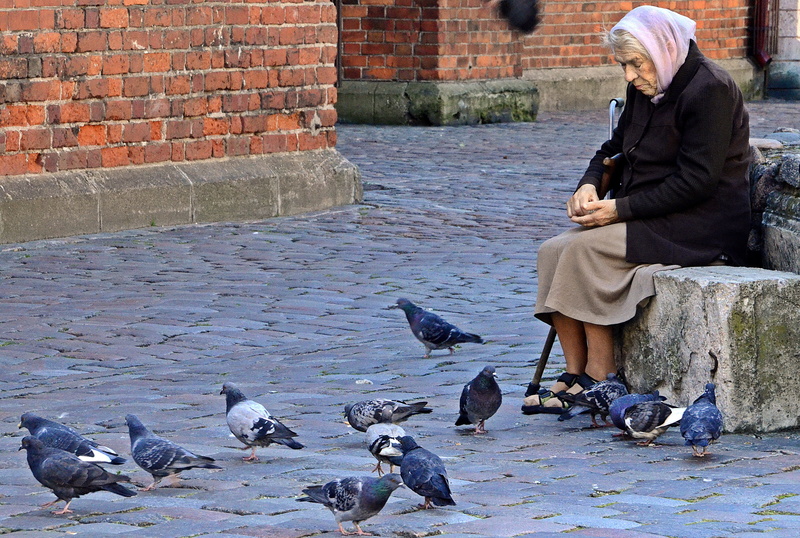 bird, vertebrate, clothing, sitting, outdoors, day, casual clothing, real people, woman, old, lifestyles, group of animals, pigeon, large group of animals