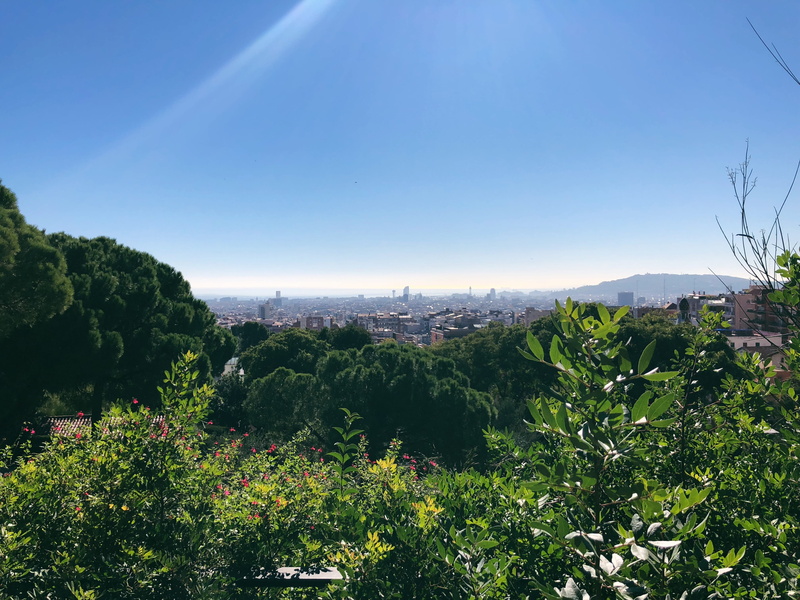 land, tranquility, landscape, sunlight, plantation, plant, nature, 4K, no people, spain, mountain, day, outdoors, green color, scenics - nature, beauty in nature