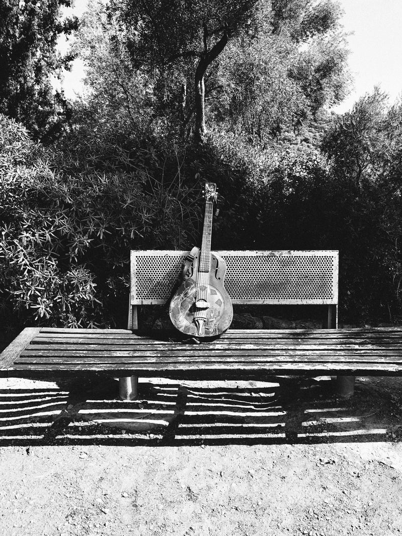 musician, sunlight, bench, musical instrument, spain, soul, object, instrument, bass, growth, string instrument, black and white, jazz, guitar, plant, old guitar