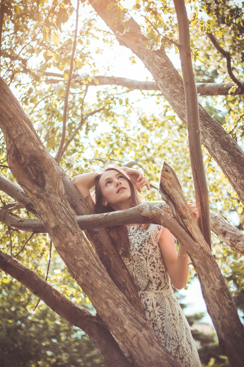 adults only, freedom, land, woman on top, females, 5K, woman, one Person, brances, adult, leisure activity, real people, sunny, plant, carefree, park - Man Made Space