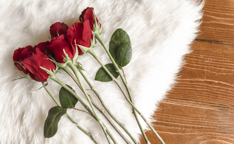 romance, plant part, indoors, bunch of flowers, flatlay, inflorescence, flowering plant, bloom, rose - flower, white, plant, love background, sweet, candy