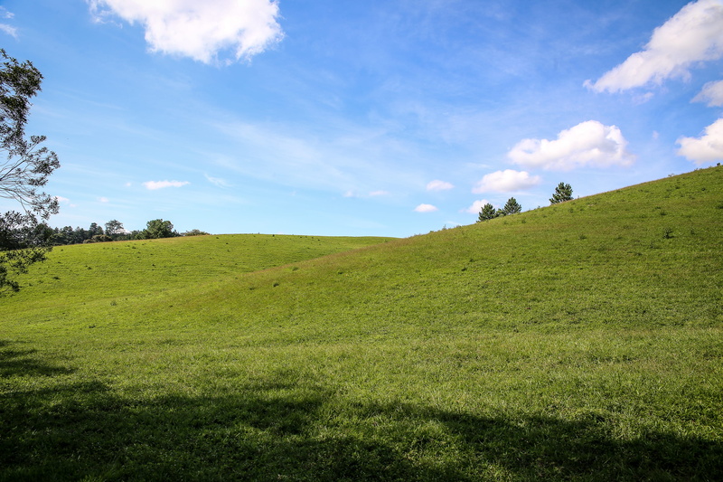 environment, tranquil scene, xp, nature, tranquility, forest, tree, no people, plant, saopaulo, day, growth, 2K, cloud - sky, green color, non-urban scene