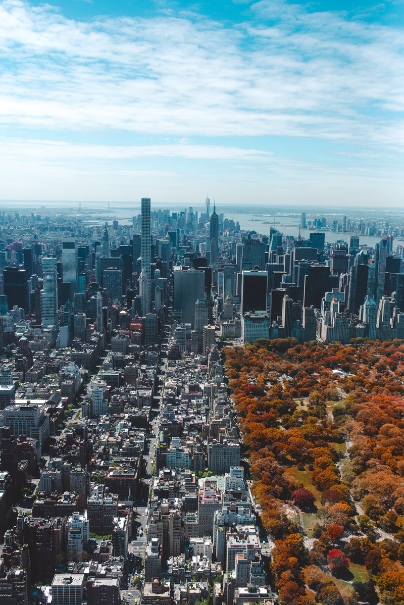 outdoors, establishment, windows, architecture, hotel, clouds, skyscraper, financial district, trees, urban, park, fall, high angle view, built structure