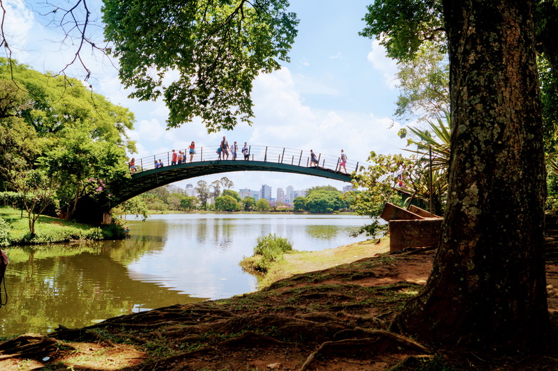 water, city, sao paulo, bridge, people, arch bridge, architecture, 5K, day, building exterior, park, reflection, no people, arch, brazil, tree, outdoors