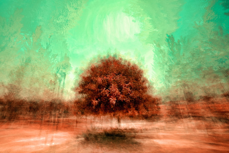 tranquility, forest, forever, fantasy, land, motion, 5K, blur, backgrounds, day, growth, no people, bush, field, scenery, outdoors, happiness, nature