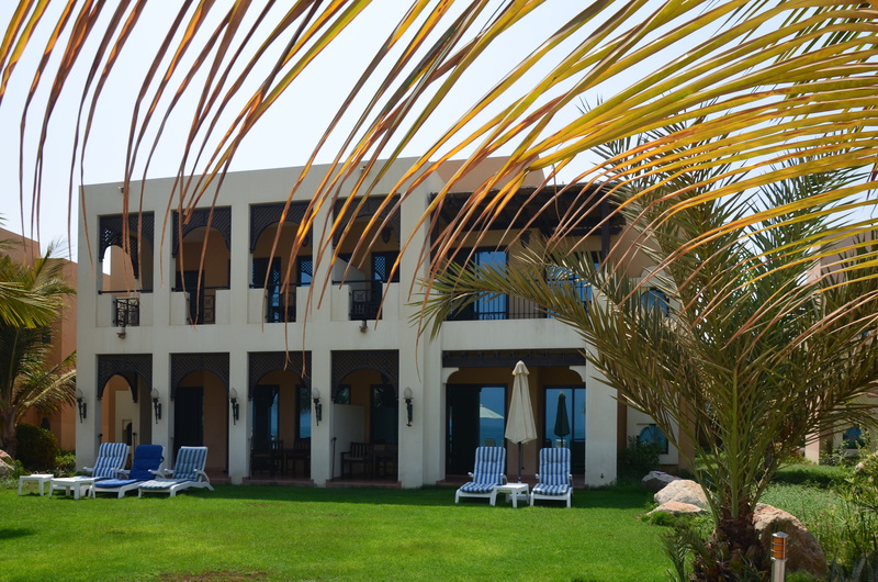tourist resort, tourism, sunlight, building exterior, pool, tree, growth, lawn, modern, tropical climate, ras al khaimah, no people, palm tree, relaxation