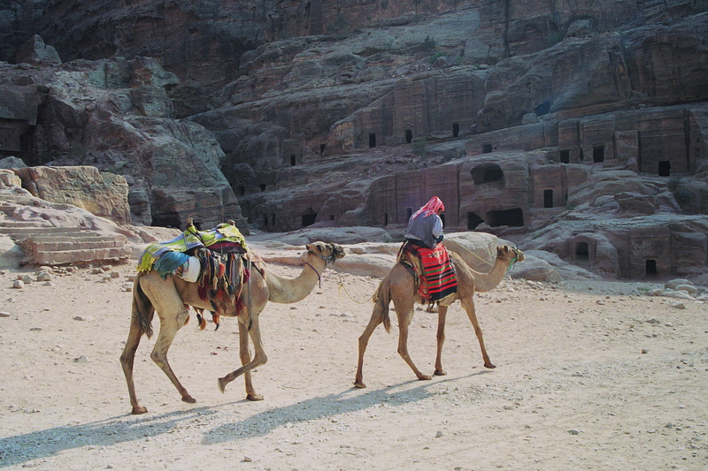 formation, animal, 2K, camel, architecture, pets, animal wildlife, the red, rock - object, built structure, jordan, holiday, the past, nature, world heritage