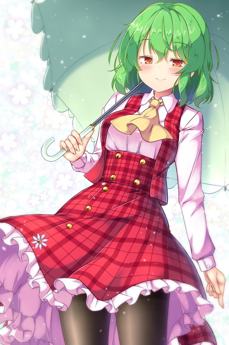 720P, Aka Tawashi, dress, Touhou, smiling, black pantyhose, Kazami Yuuka, anime girls, green hair