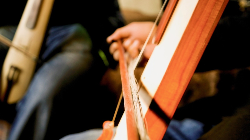 playing, turkey, selective focus, musical instrument string, violin, human body part, performance, violinist, musician, giresun, holding, blacksea, skill