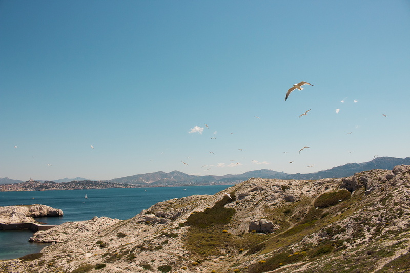 marseille, bird, gull, outdoors, animal themes, adventurer, exploring, cityview, sky, rock, no people, animal, water, nature, tranquility, mountain range