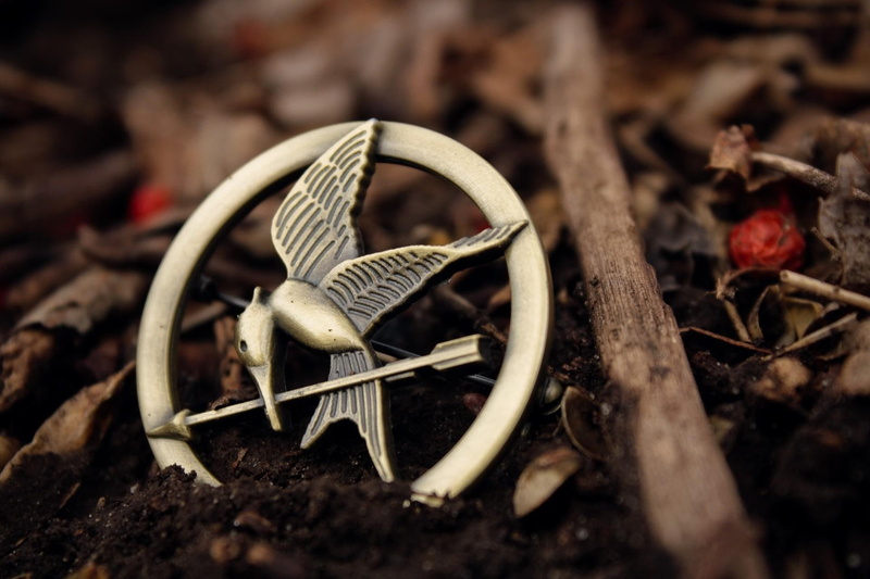 1080P, brooch, badge, earth, bird