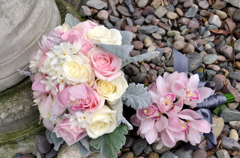 720P, close-up, flower, no people, vulnerability, rose - flower, nature, beauty in nature, flower head, flowering plant, freshness, plant, inflorescence