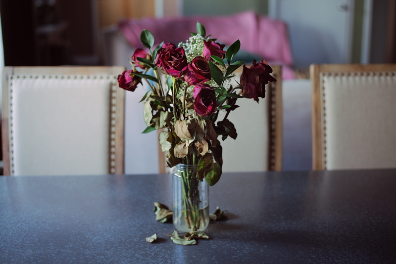 bouquet, dying, wilting, vulnerability, 4K, red, flowering plant, rose, dry, flower arrangement, close-up, decoration, wilted plant, fallen, fragility