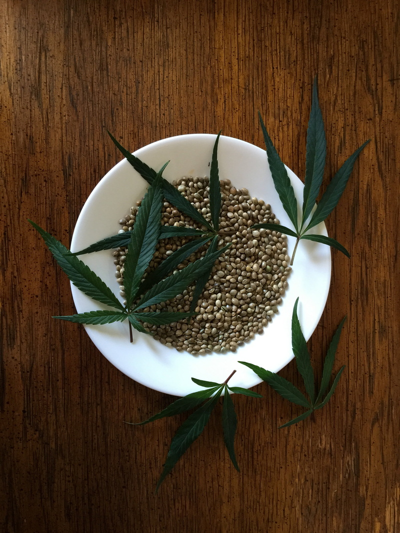 food, directly above, table, wood - material, leaf, marijuana, healthy eating, hemp seeds, herb, seeds, close-up, high angle view, green color, natural