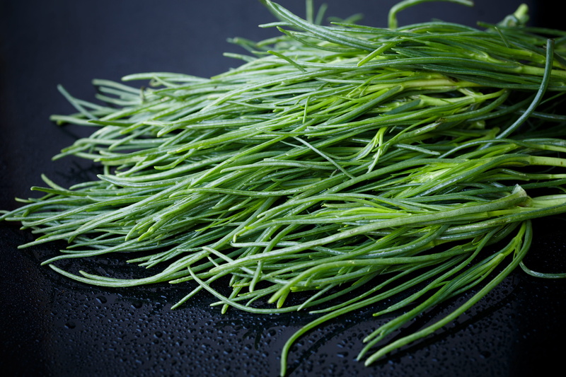 leaf, market, food, 5K, healthy lifestyle, macro, raw food, green color, vegetable, succulent, no people, agretti, salsola, close-up, frate, plant, vitamin