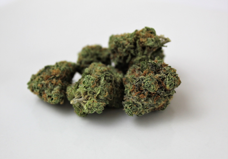 studio shot, herb, 4K, marijuana, cannabis plant, white background, herbal medicine, indica, selective focus, no people, pot, cannabis, medical cannabis